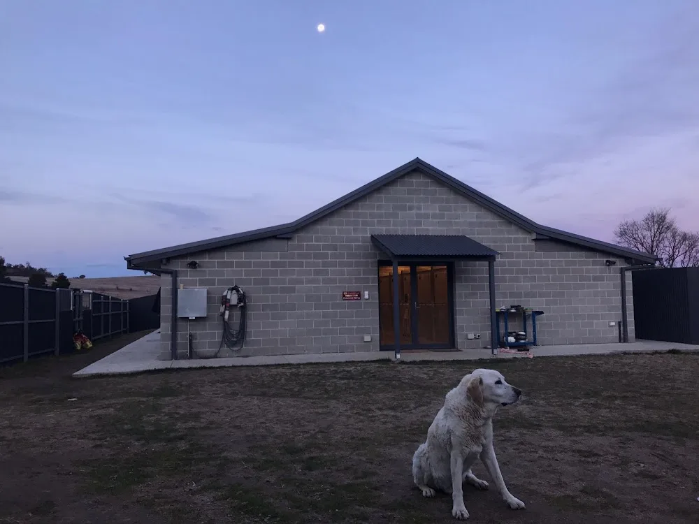 Dunkeld Park Pet Hotel - New South Wales pet otel