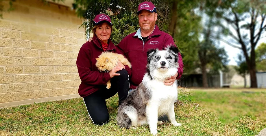 Glanmire Boarding Kennels - New South Wales pet otel görseli 2