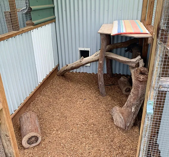Juzt Catz - New South Wales pet otel görseli 3