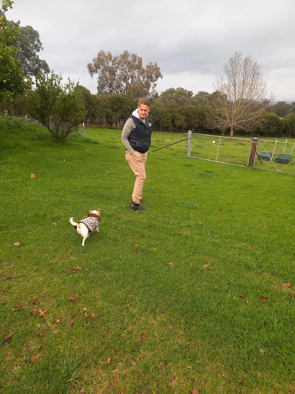 One on one Dog Boarding - New South Wales pet otel görseli 2