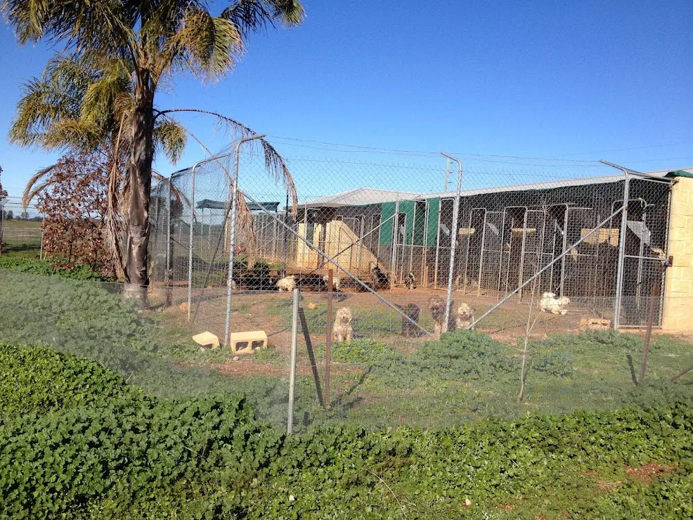Peak Hill Boarding Kennels - New South Wales pet otel görseli 2