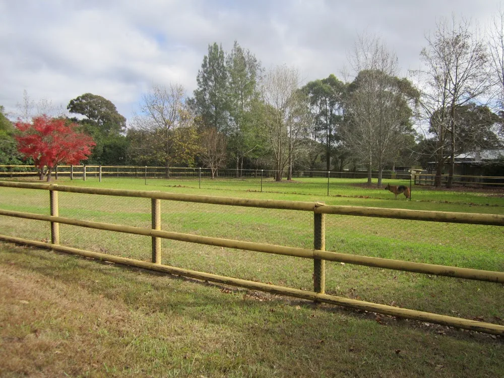 Stay N Play K9 Resort - New South Wales pet otel görseli 2