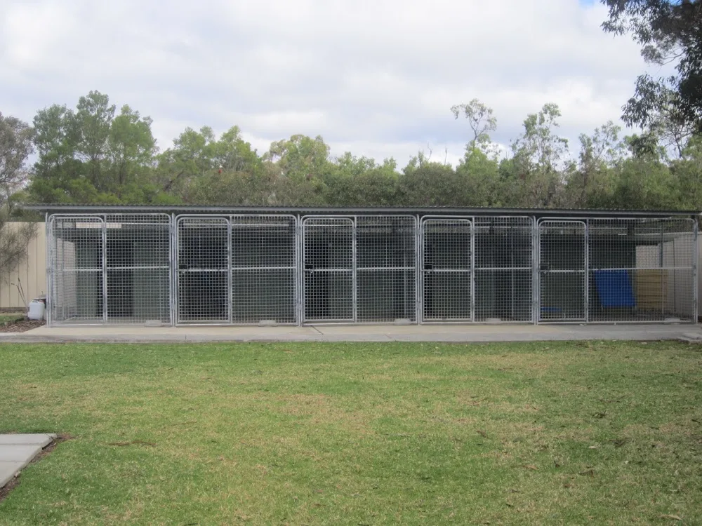 Stay N Play K9 Resort - New South Wales pet otel görseli 3