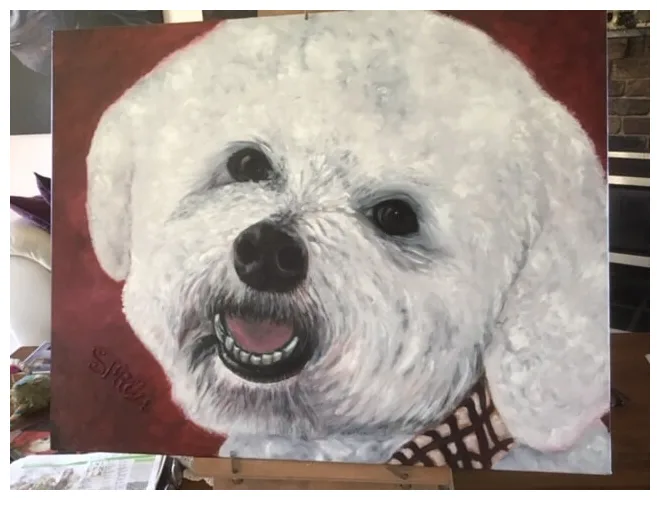 Valley View Pet Resort - New South Wales pet otel görseli 2