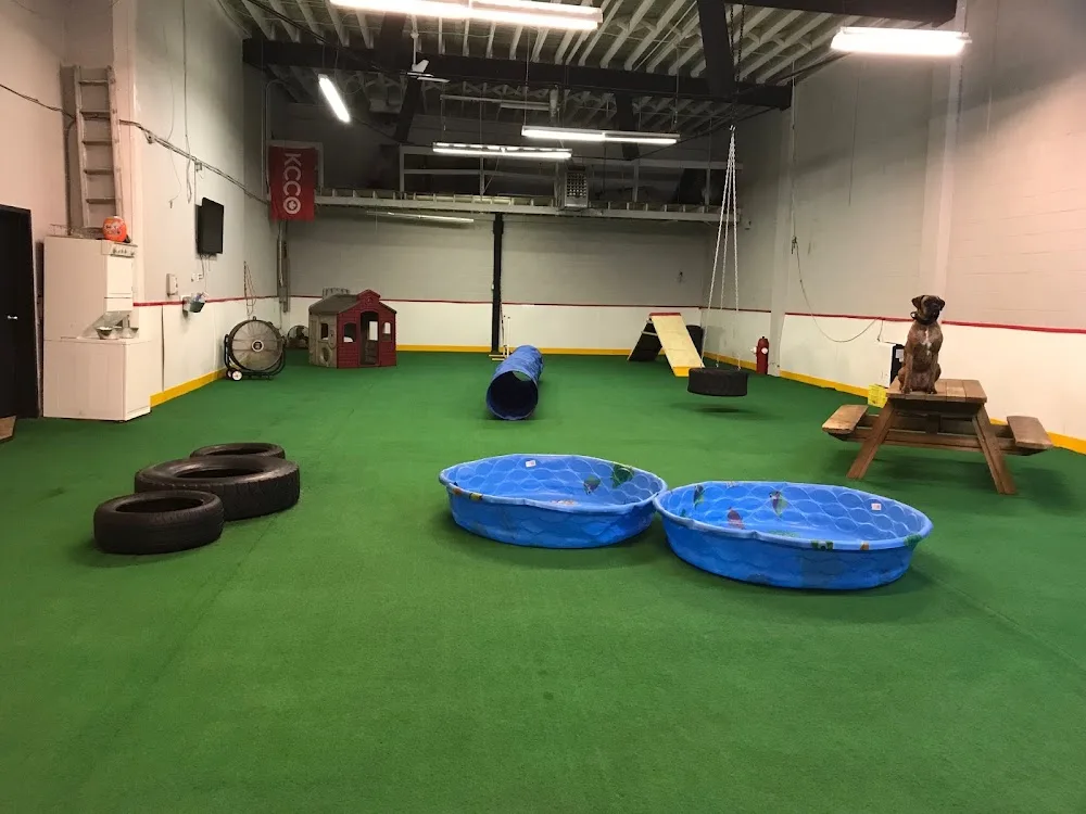 Gus' Indoor Dog Park and Daycare - New Westminster pet otel görseli 6