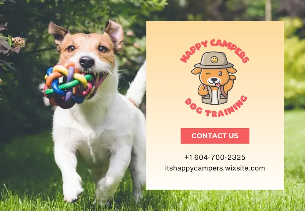 Happy Campers Dog Training & Daycare - New Westminster pet otel
