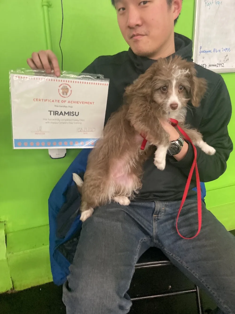 Happy Campers Dog Training & Daycare - New Westminster pet otel görseli 7