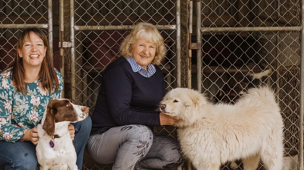 The Dog House Boarding Kennels - New Zealand pet otel