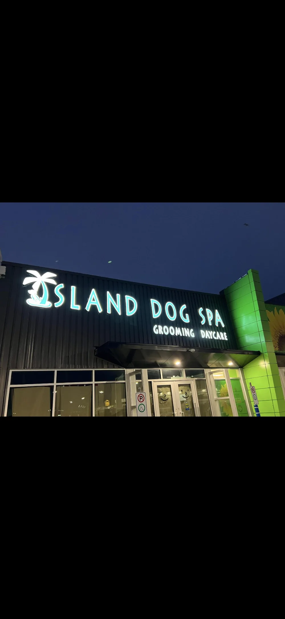 Island Dog Spa - Newfoundland and Labrador pet otel görseli 2