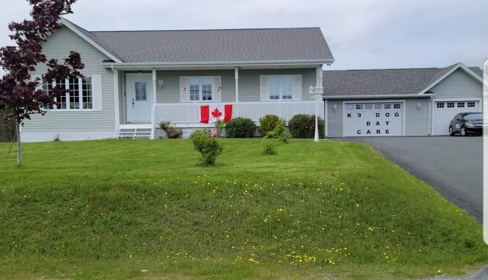 K9 Dog Day Care - Newfoundland and Labrador pet otel
