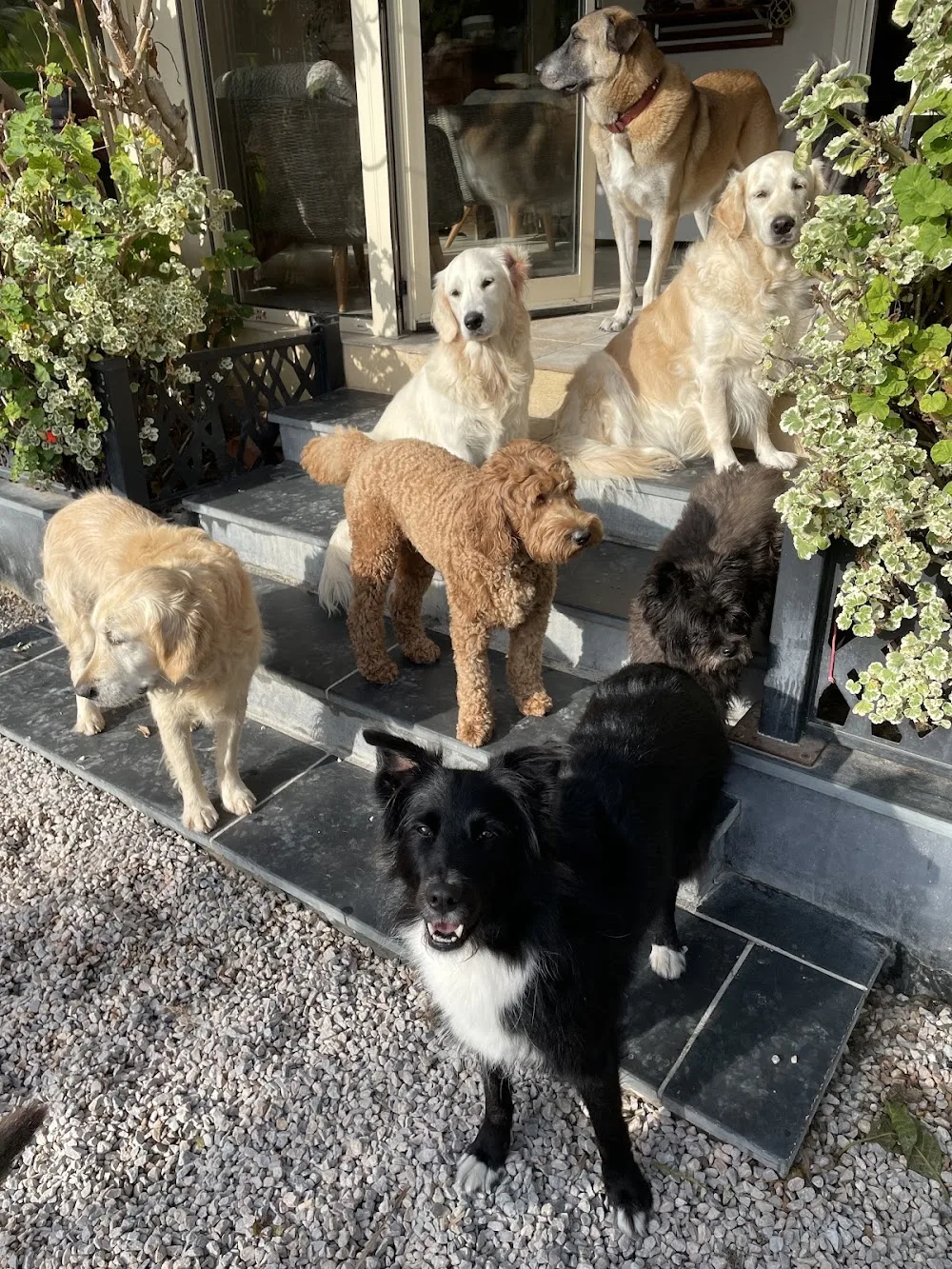 Eymauzy Corinne Pension des Cabots - Nice pet otel görseli 3