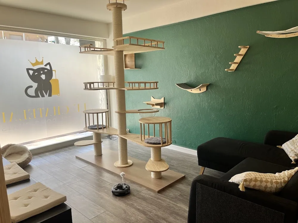 Le Chatelain - pension pour chats - Nice pet otel görseli 6