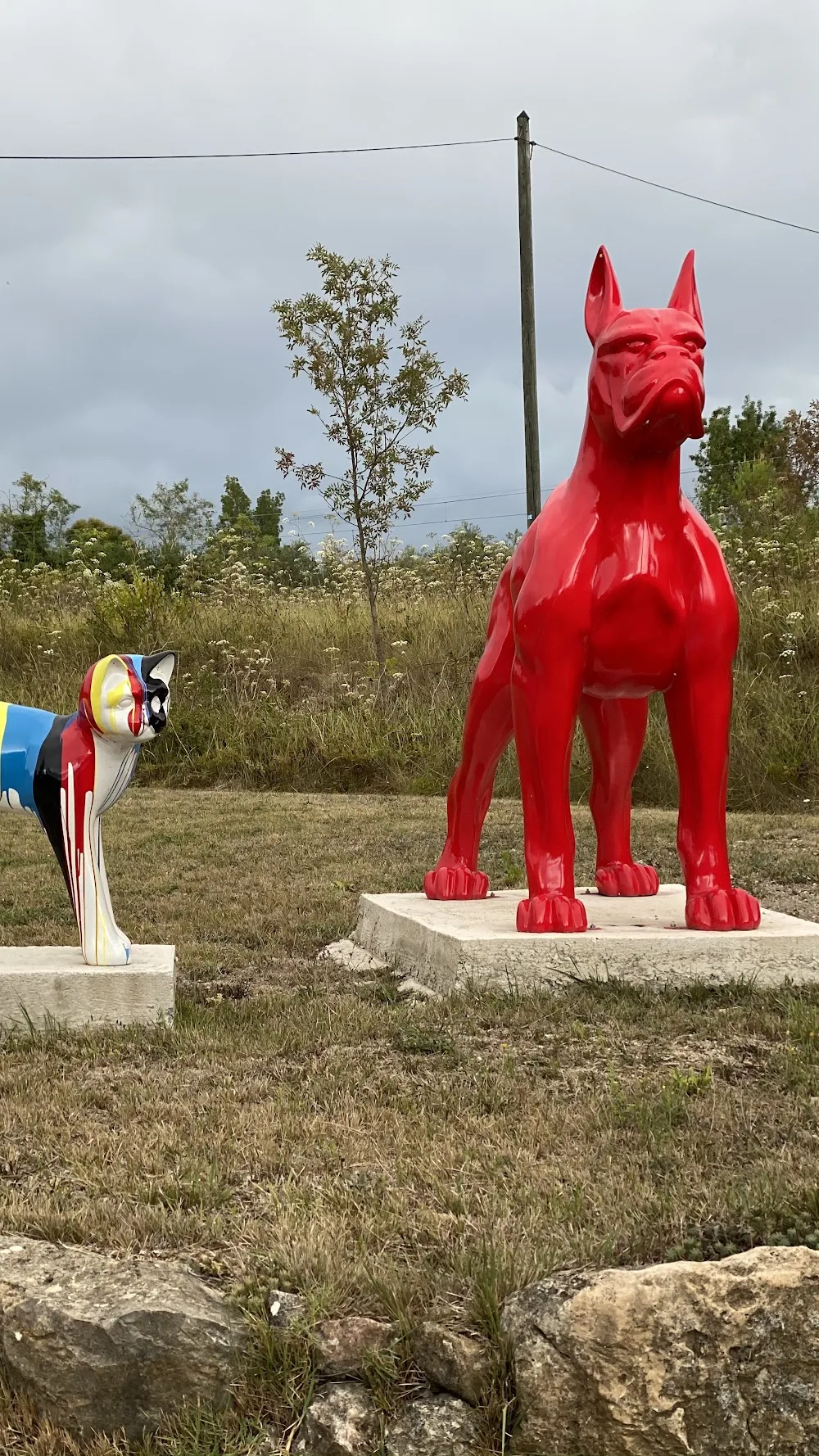 Pension Dog Méditerranée - Nice pet otel görseli 7