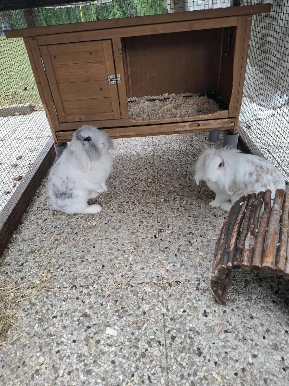 Angela&Co'nijnenhotel - Nieuwaal pet otel görseli 3