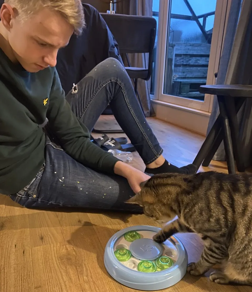 Kattenoppas Zaltbommel - Nieuwaal pet otel