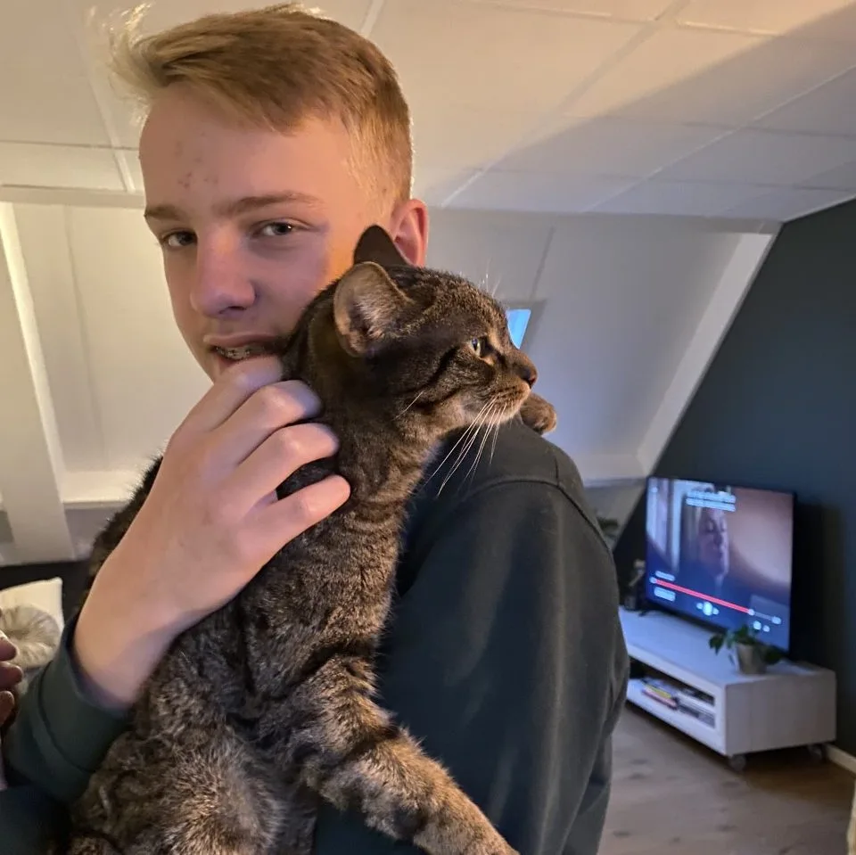 Kattenoppas Zaltbommel - Nieuwaal pet otel görseli 3