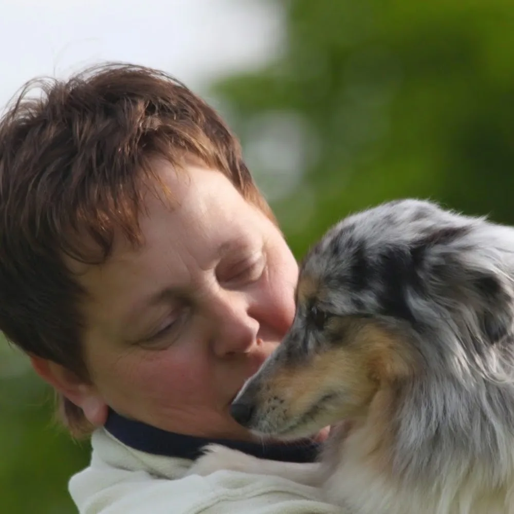 sheltiekennel lidani - Nieuwaal pet otel görseli 5
