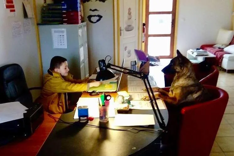 Anima-Pension pour animaux Challuy - Nièvre pet otel