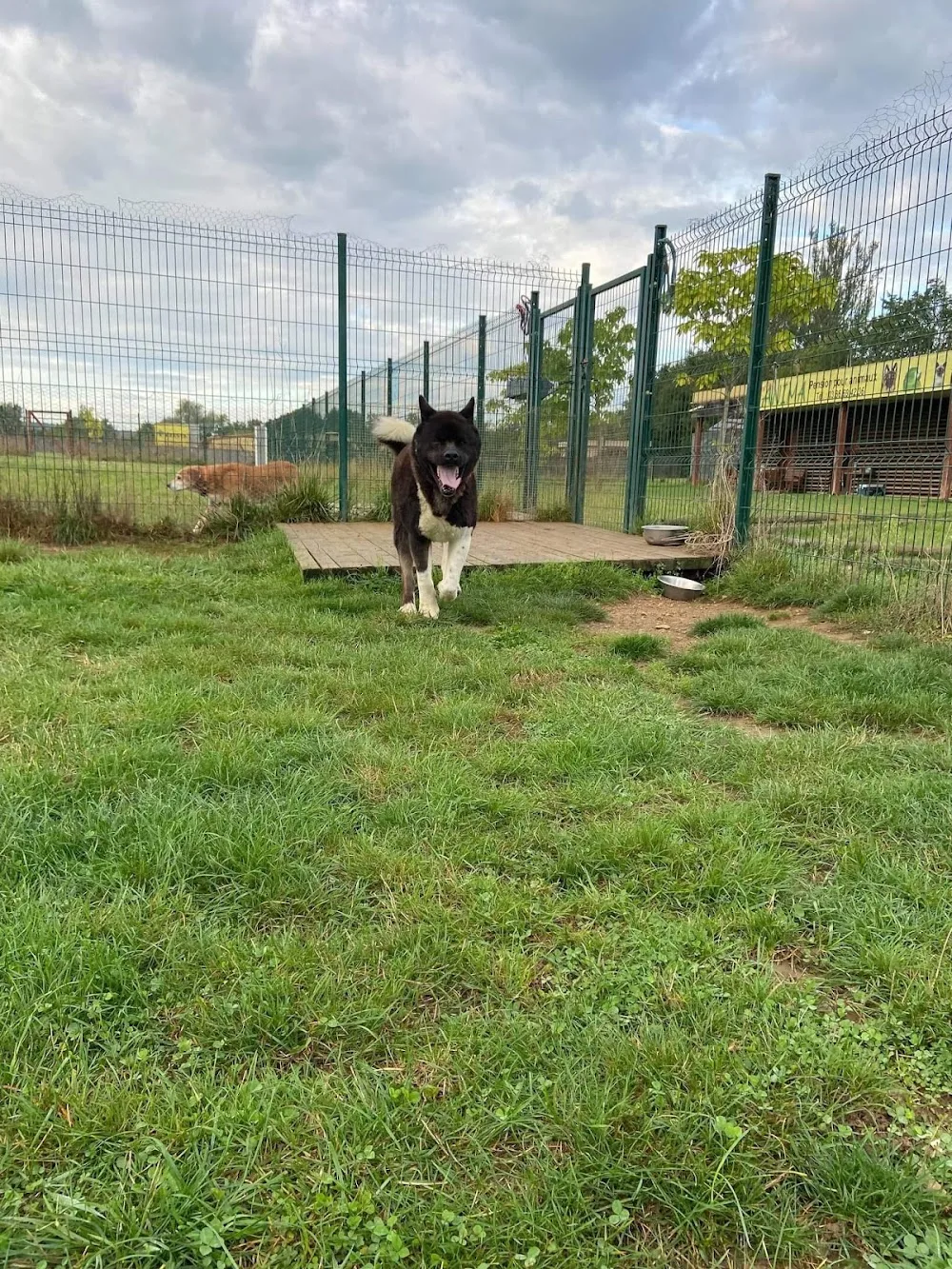 Anima-Pension pour animaux Challuy - Nièvre pet otel görseli 3