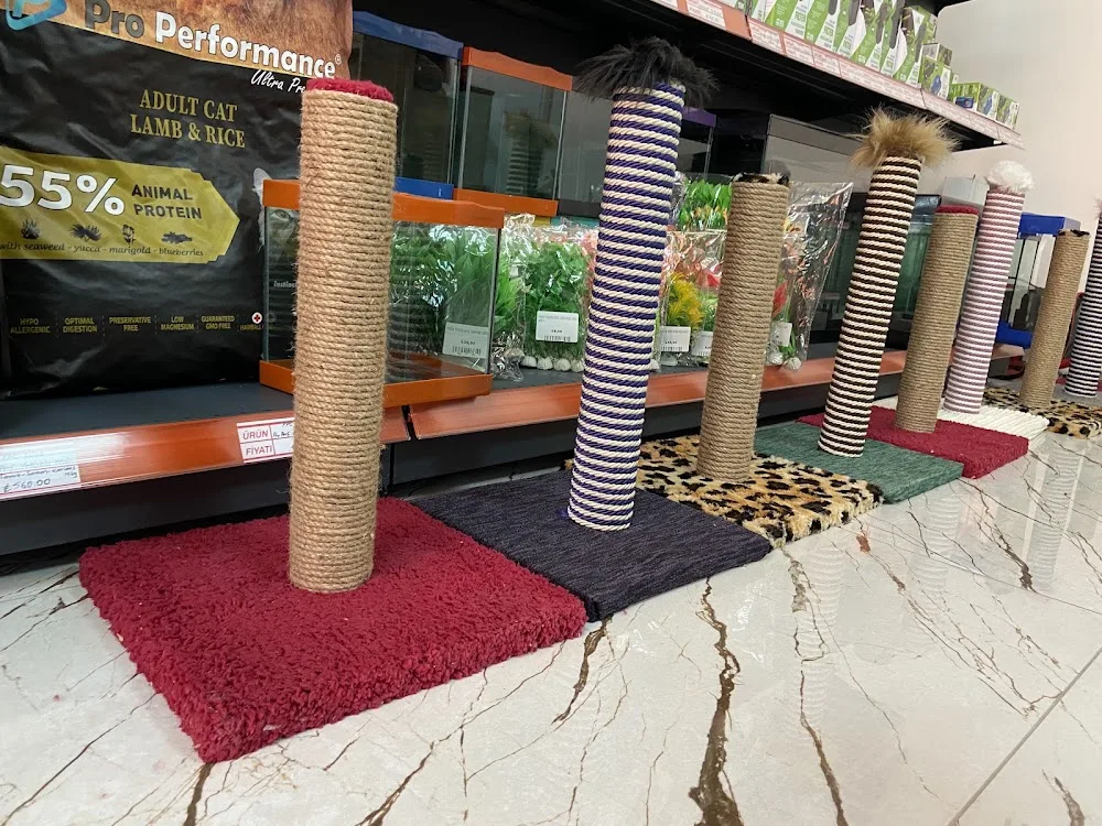 Pet House (Pet Shop) - Niğde pet otel görseli 2