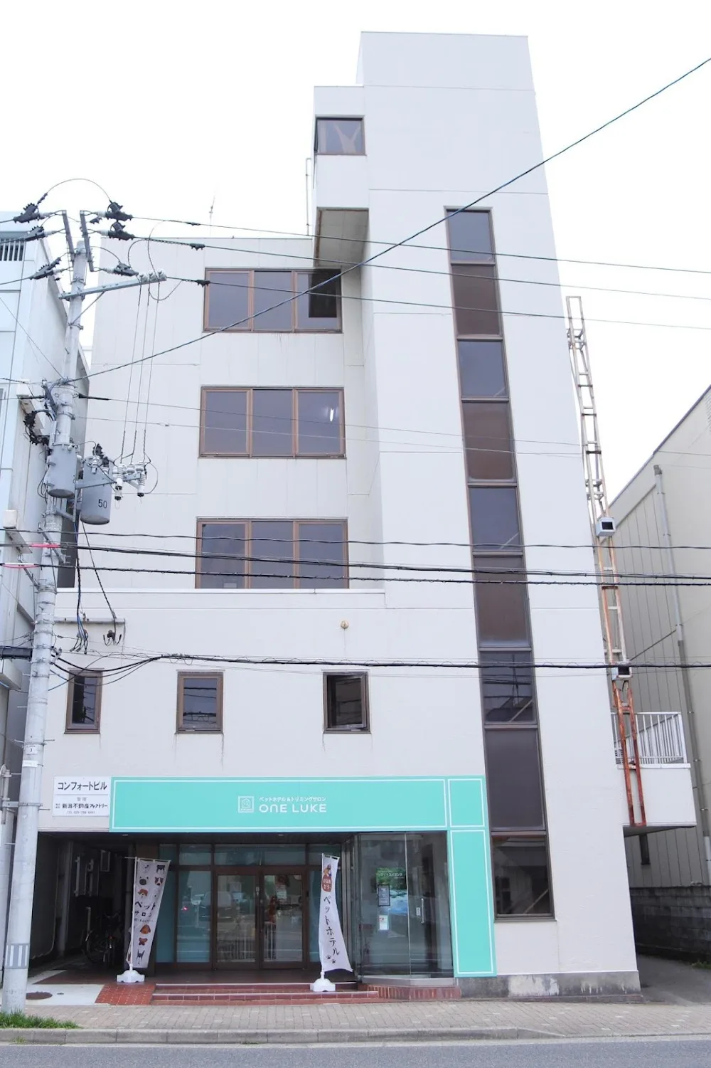 ペットと泊まれる宿 DoggoInn Niigata - Niigata pet otel