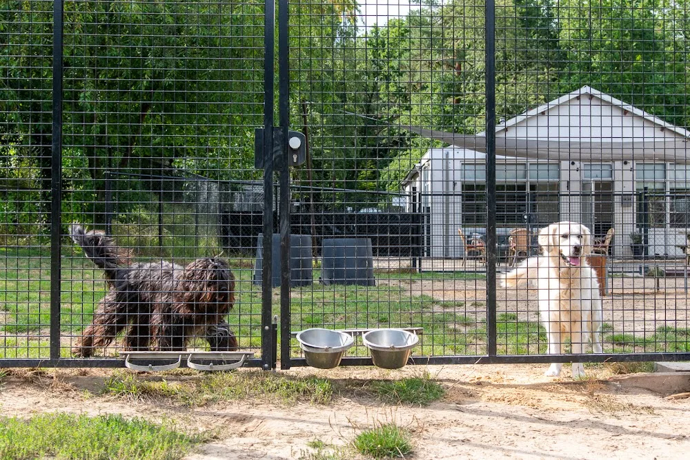 Alipha's Dierenpension B.V. - Limburg pet otel