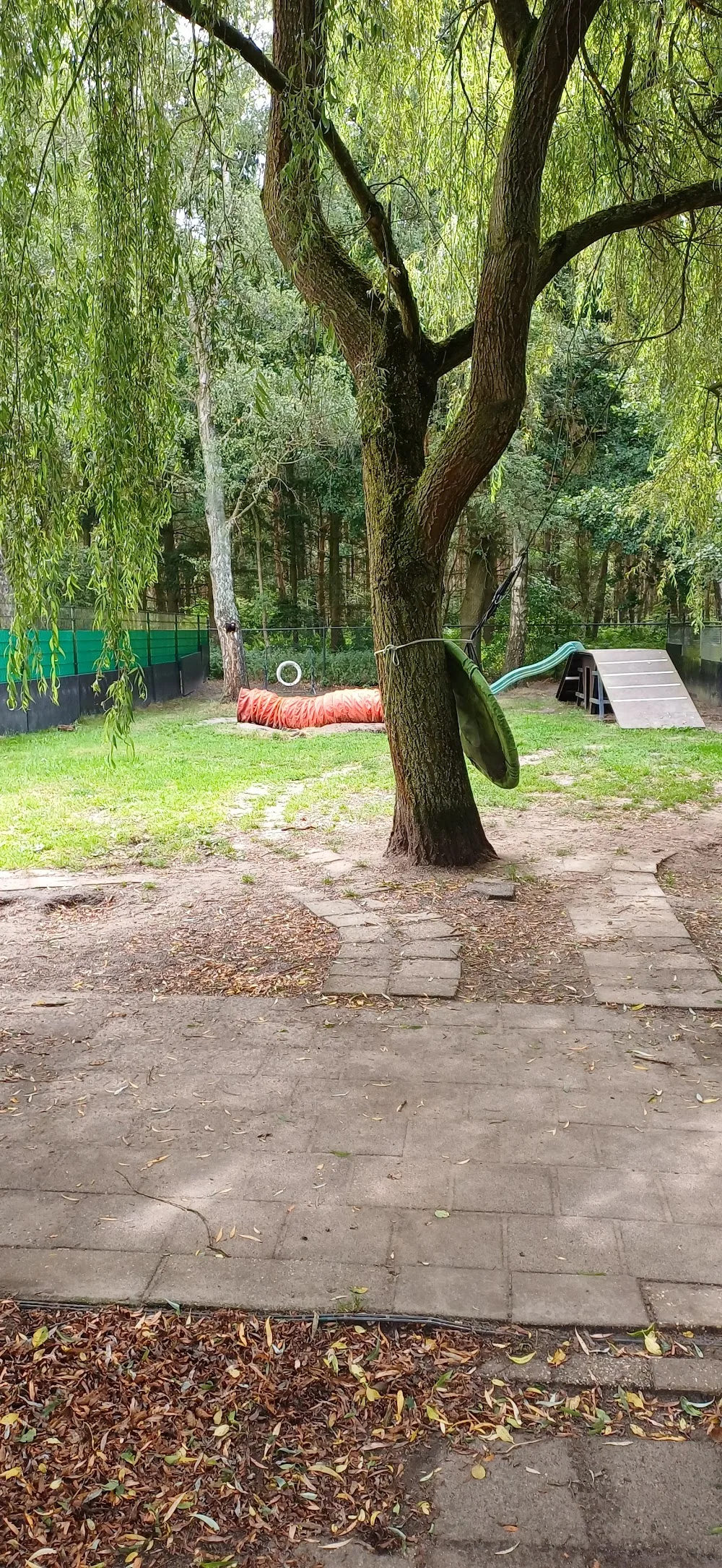 Hondenopvang YouDog - Limburg pet otel görseli 3