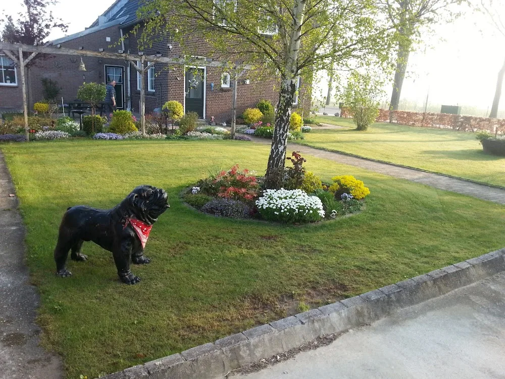 Hondenpension Peeters - Limburg pet otel