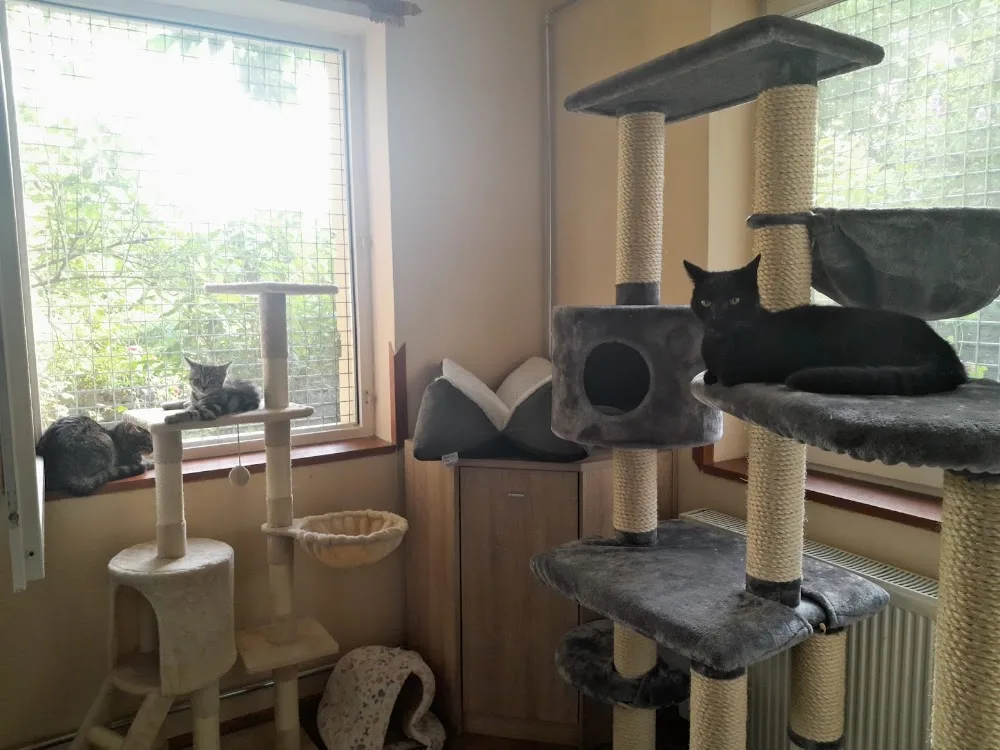 Dorombolda Hotel - Nógrád County pet otel