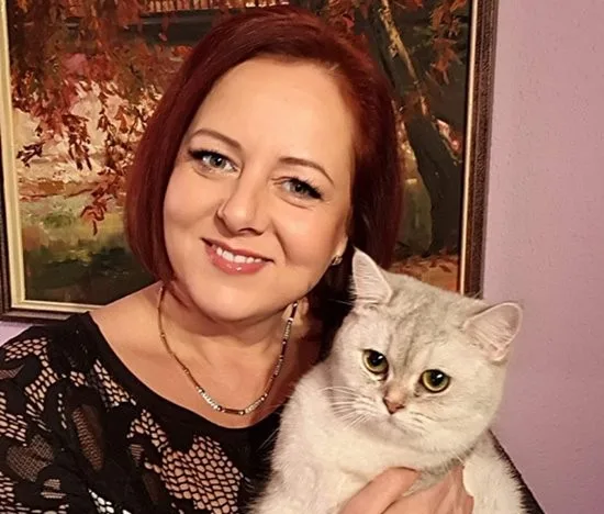 Dreamscats Brit Rövidszőrű Cica Kennel - Nógrád County pet otel
