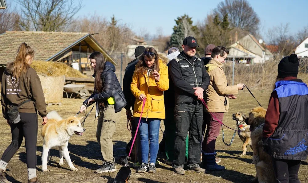 Future of Dogs - Napközi és Panzió (Zsámbék) - Nógrád County pet otel