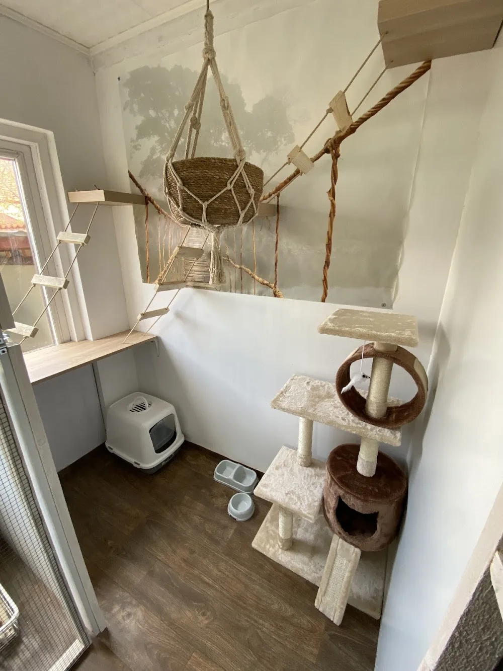 Macska-land Hotel, Cicapanzió - Nógrád County pet otel görseli 2