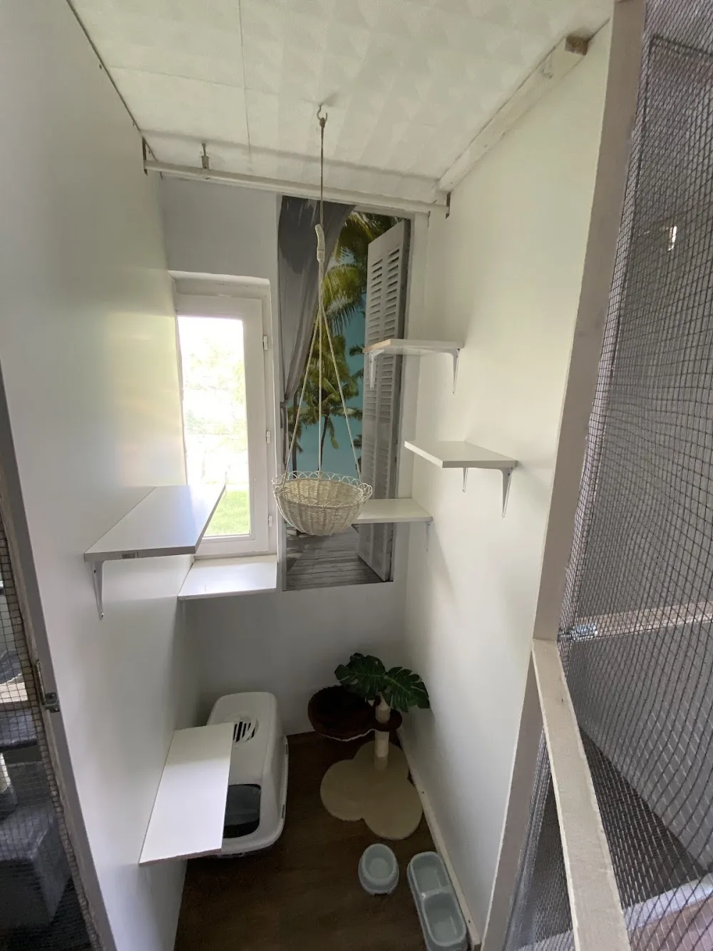 Macska-land Hotel, Cicapanzió - Nógrád County pet otel görseli 3