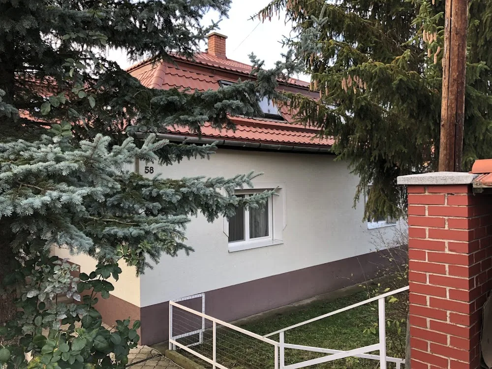 Medves-Hegyi Kennel - Nógrád County pet otel