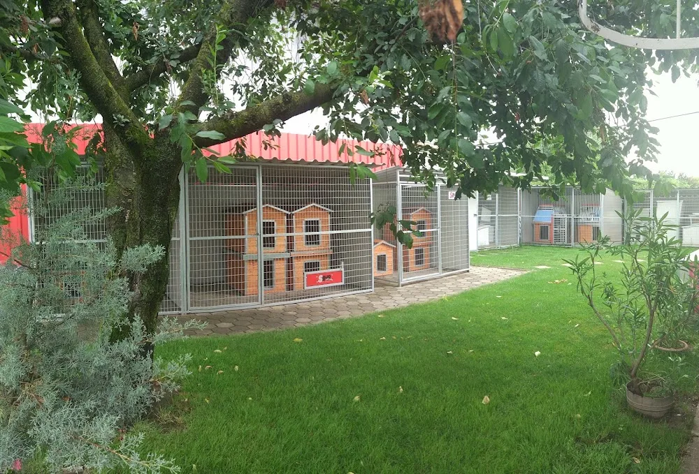 SINB kutyaház és kutya kennel - Nógrád County pet otel