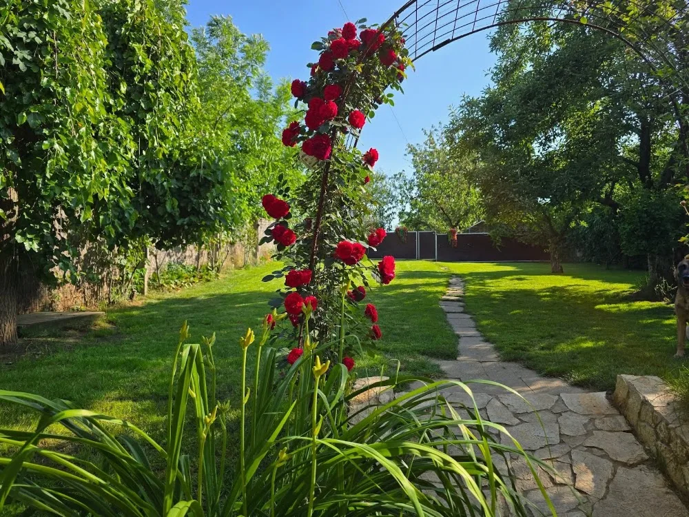 Ugatlak Kutyahotel - Nógrád County pet otel görseli 3