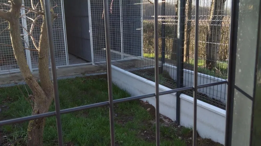 Gite canin du flo vert - Nordausques pet otel