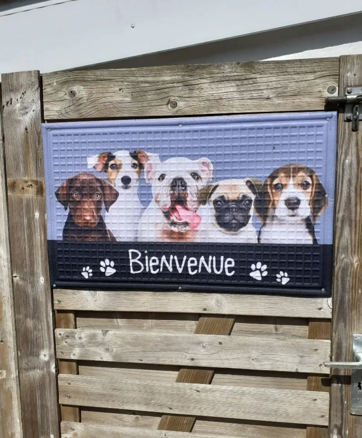 Les Champs Alysée - Nordausques pet otel