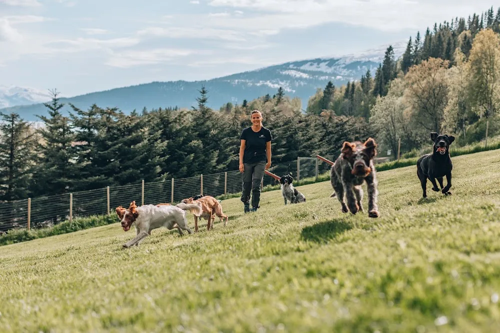 Rana Hundesenter AS - Nordland pet otel görseli 3