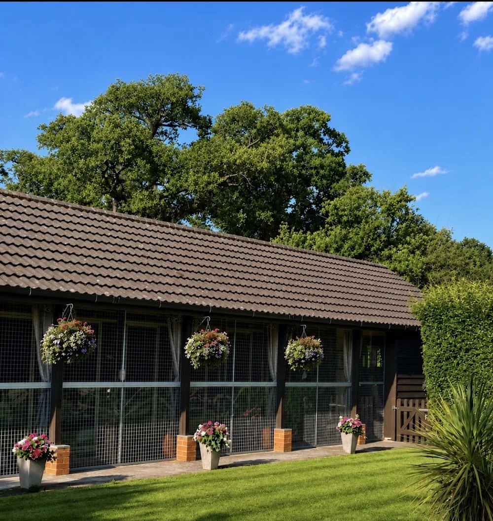 Aristocats Luxury Cattery NORFOLK - Norfolk pet otel