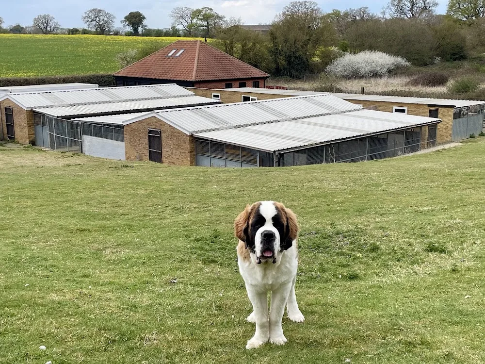 Crostwick Boarding Kennels & Cattery - Norfolk pet otel