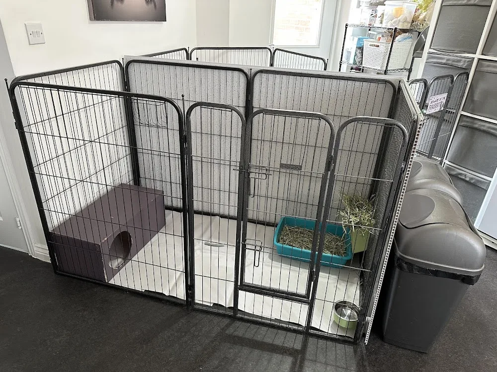 Dereham Little Pet Hotel - Norfolk pet otel
