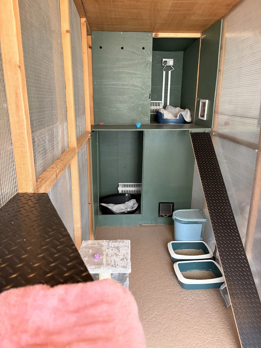 Fusspots Cattery - Norfolk pet otel görseli 2