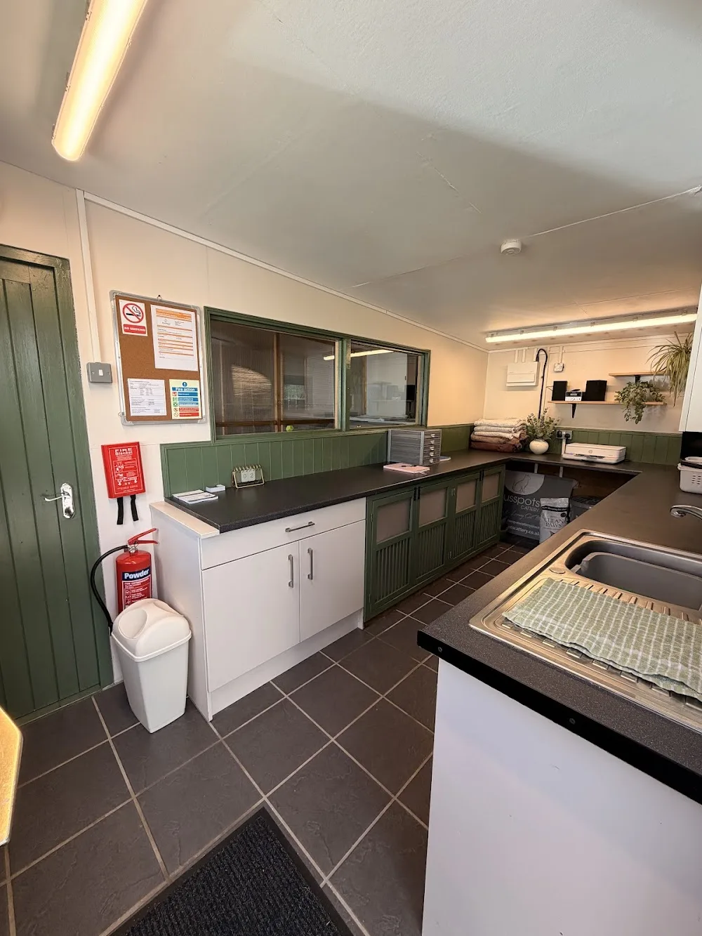 Fusspots Cattery - Norfolk pet otel görseli 3