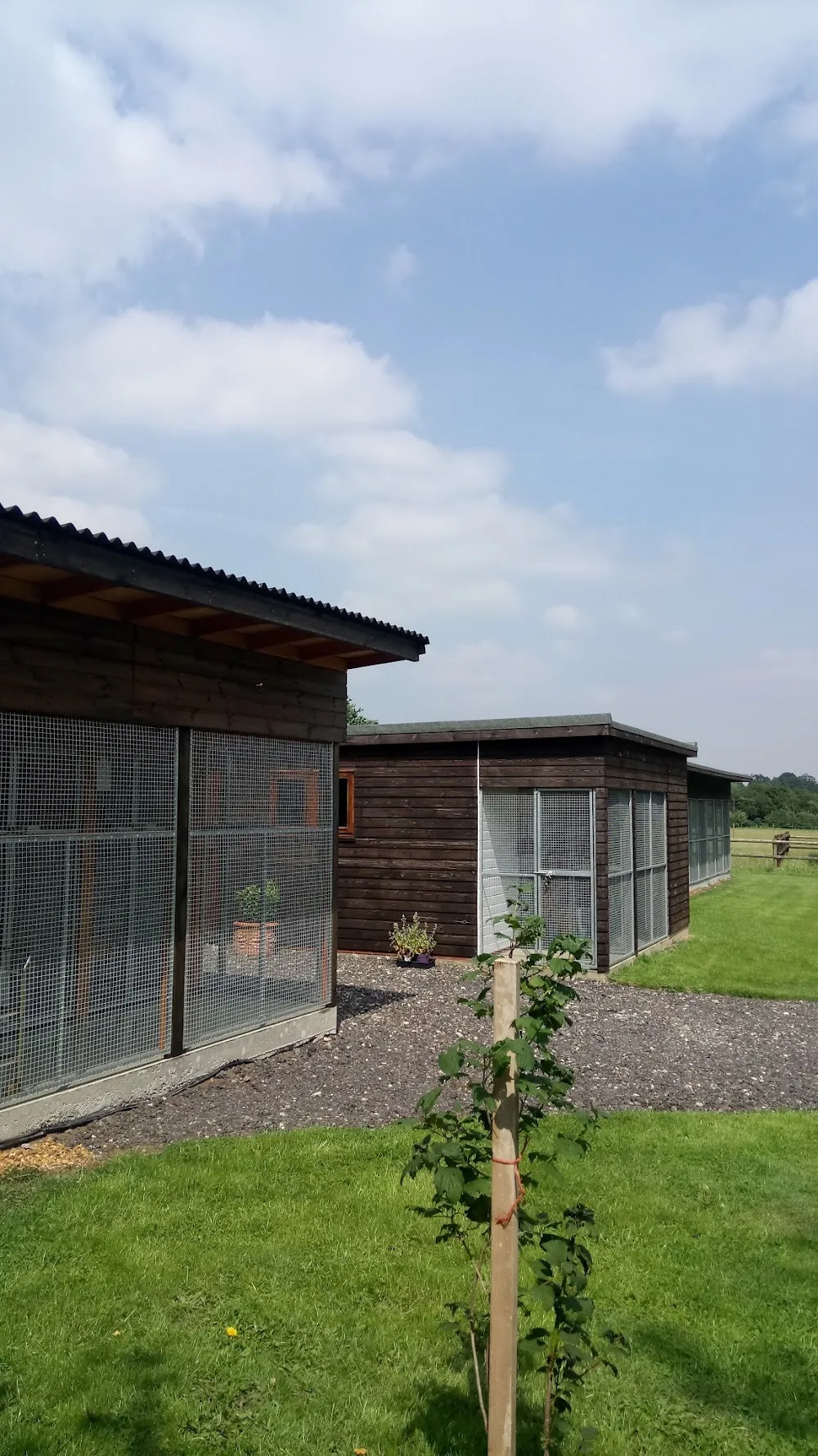 Home Farm Cattery - Norfolk pet otel görseli 2