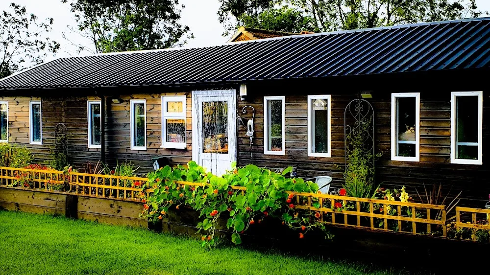 Home from Home Cat Hotel - Norfolk pet otel