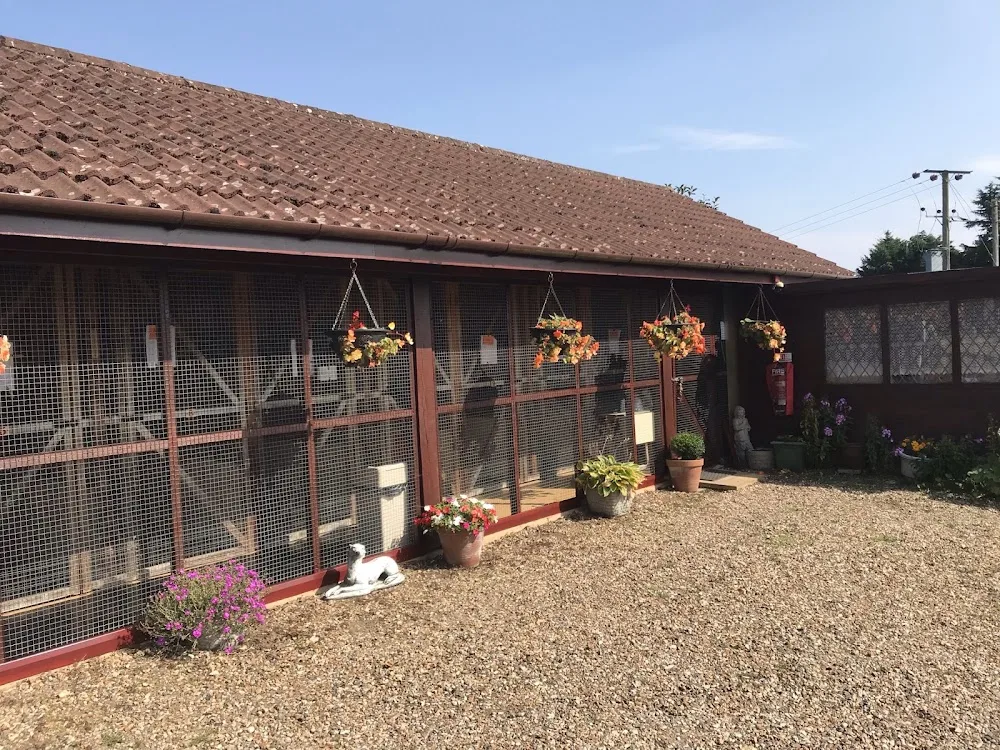 Morton Cottage Cattery - Norfolk pet otel görseli 2