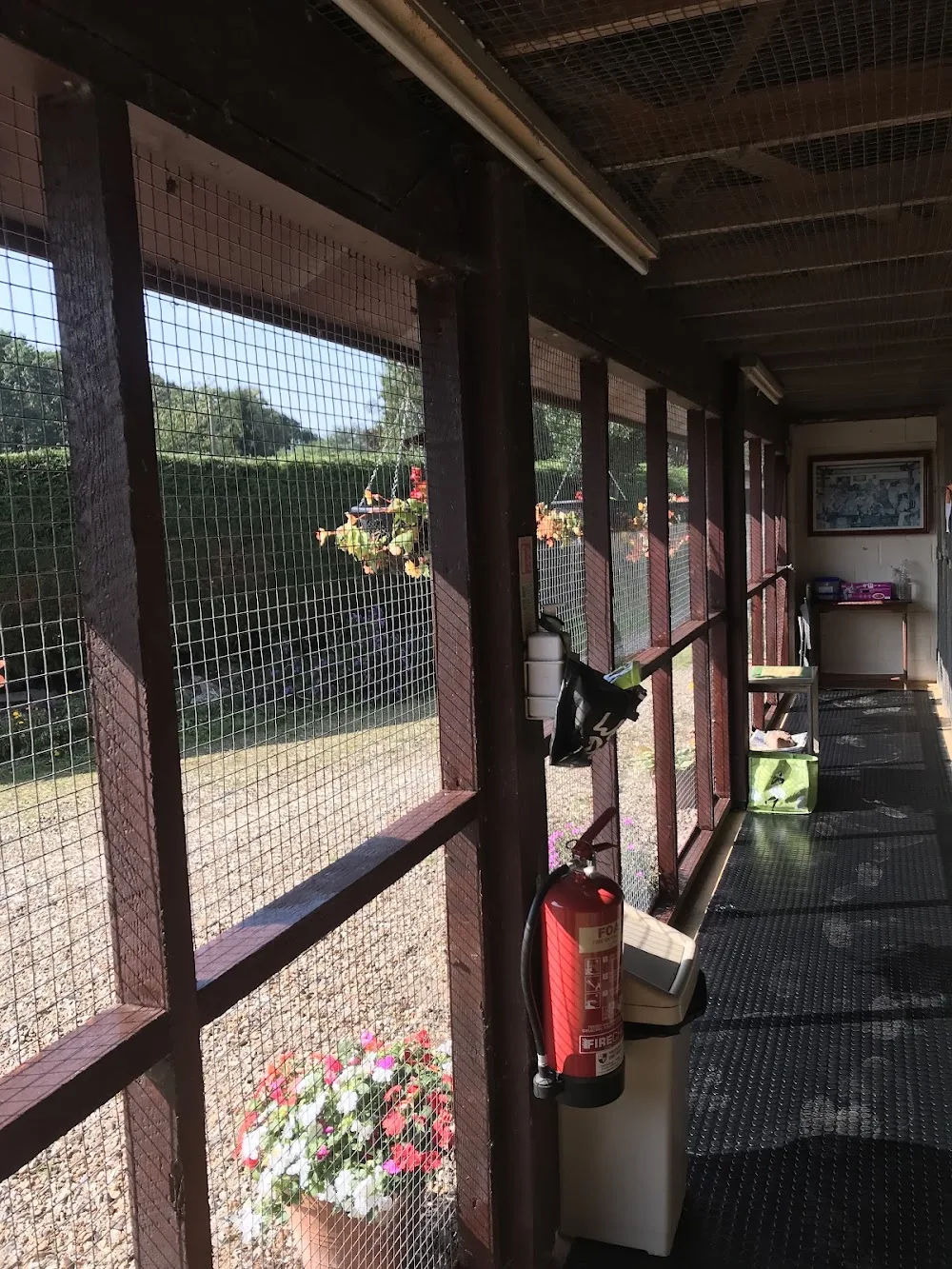 Morton Cottage Cattery - Norfolk pet otel görseli 3