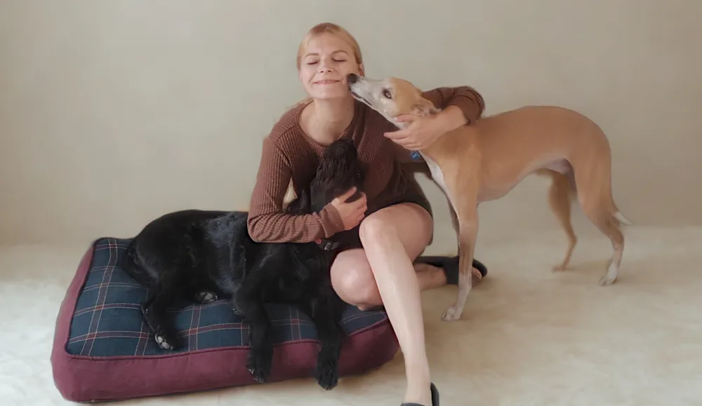 Pawlina: Home for Pets - Norfolk pet otel görseli 2