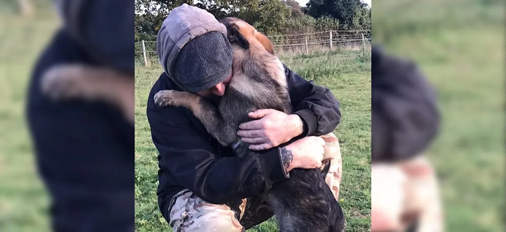 Tarchey Kennels - Norfolk pet otel görseli 3
